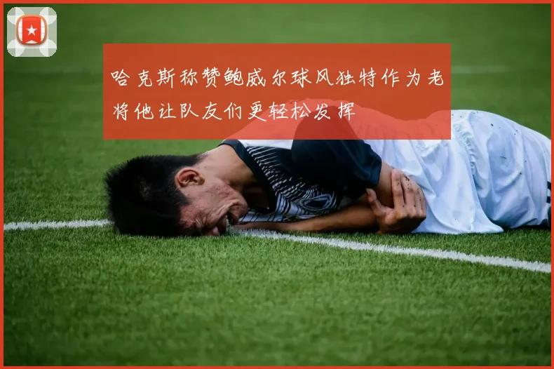 哈克斯称赞鲍威尔球风独特作为老将他让队友们更轻松发挥