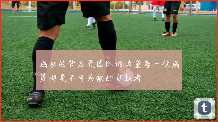 成功的背后是团队的力量每一位成员都是不可或缺的贡献者